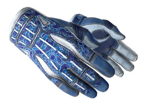 ★ Sport Gloves | Amphibious (Well-Worn)
